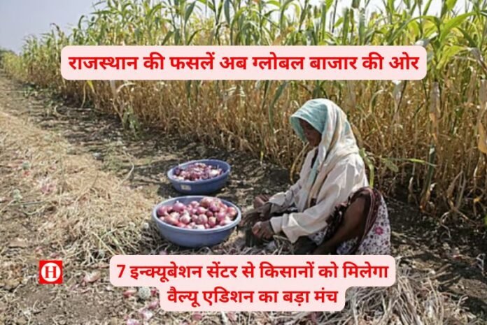 राजस्थान की फसलें अब ग्लोबल बाजार की ओर: 7 इन्क्यूबेशन सेंटर से किसानों को मिलेगा वैल्यू एडिशन का बड़ा मंच