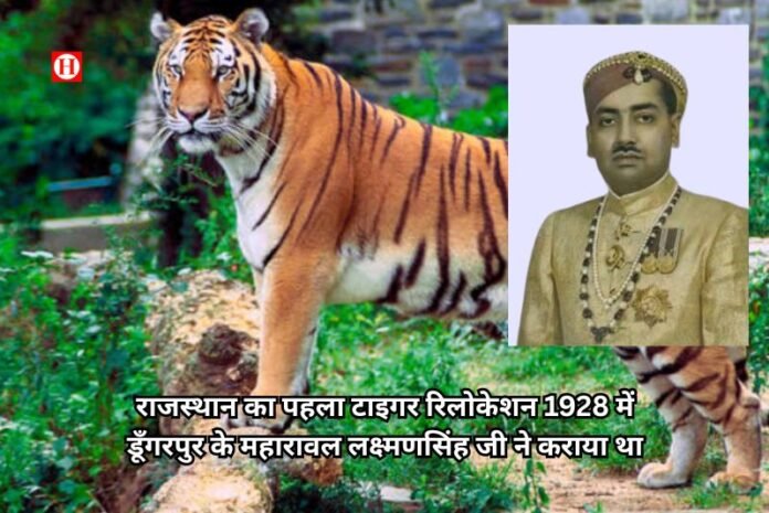 राजस्थान का पहला टाइगर रिलोकेशन 1928 में डूँगरपुर के महारावल लक्ष्मणसिंह जी ने कराया था